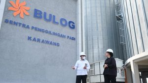 Duet Puan-Buwas Blusukan ke Penggilingan Padi
