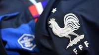 Prediksi Tunisia Vs Prancis: Mampukah Elang Kartago Jinakkan Ayam Jantan?