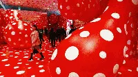 Menyelami Imajinasi Yayoi Kusama Dalam Dunia Polkadot