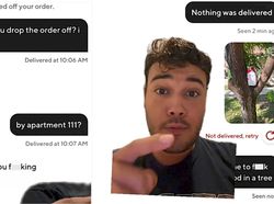 Gegara Tip Kecil, Pengantar Makanan Ini Taruh Pesanan di Atas Pohon