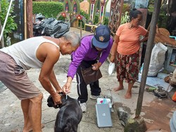 Diskes Buleleng Sayangkan Warga Remehkan Gigitan Hewan Penular Rabies