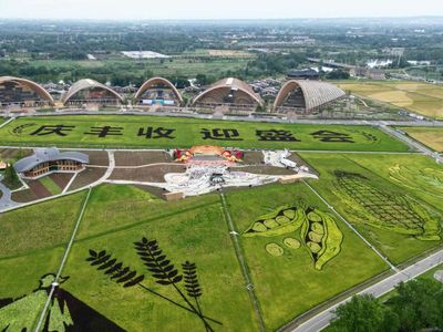 Crop Circle Unik Karya Petani China di Sichuan