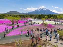 Turis China Dituduh Mencuri Listrik di Jepang, Ia Disuruh Pulang ke Negaranya