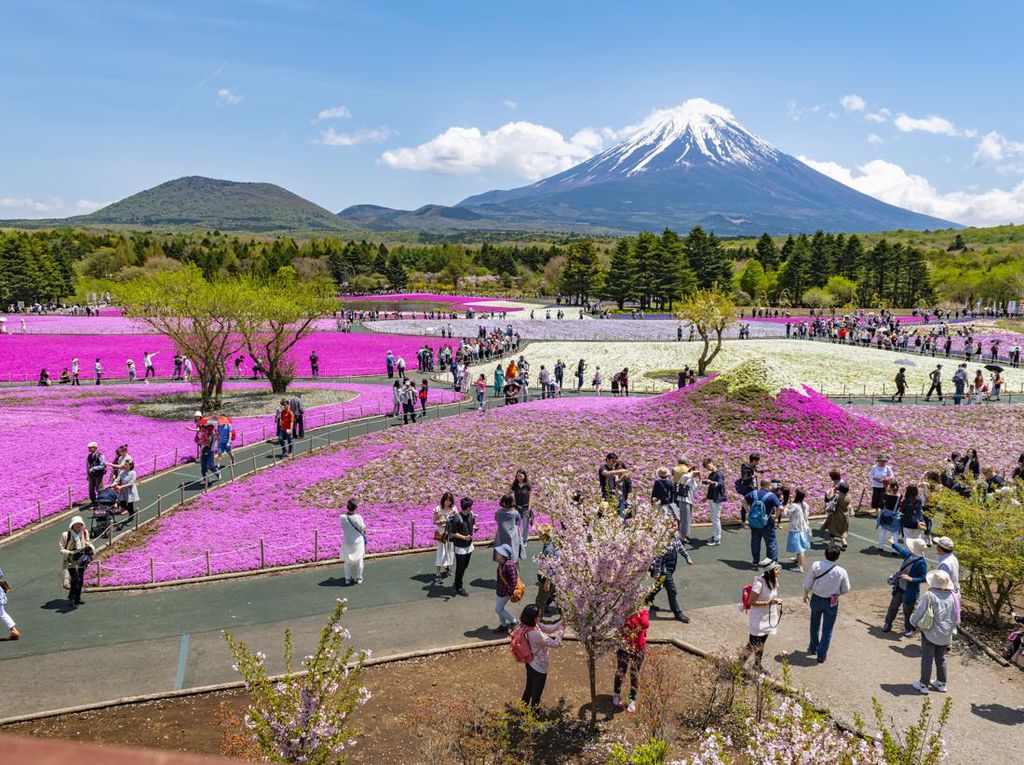 Liburan Imlek, Jepang Jadi Negara yang Paling Banyak Dicari Wisatawan Liburan Imlek, Jepang Jadi Negara yang Paling Banyak Dicari Wisatawan