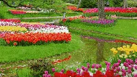Warna-warni Taman Bunga di Jepang yang Bikin Takjub
