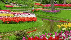 Warna-warni Taman Bunga di Jepang yang Bikin Takjub