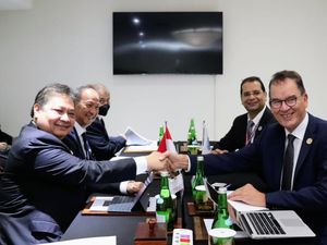 Airlangga Yakinkan UNIDO, RI Serius Garap EBT