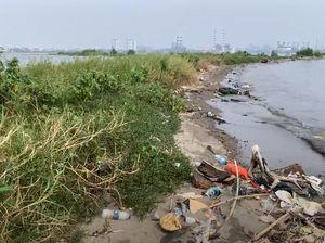 Pulau G Bakal Jadi Kawasan Permukiman, Seperti Apa Kondisinya Kini?