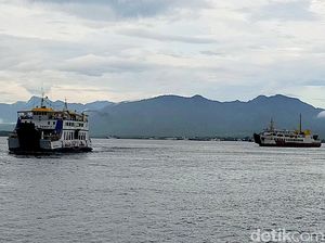 Ini Alasan Gapasdap Banyuwangi Ngotot Kurangi Trip Imbas Kenaikan Harga BBM Ini Alasan Gapasdap Banyuwangi Ngotot Kurangi Trip Imbas Kenaikan Harga BBM