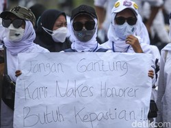 Tak Ada Lagi Honorer November 2023, Ini 3 Syaratnya