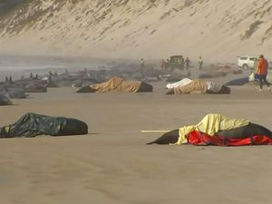 4 Fenomena Hewan Mati Massal yang Menggegerkan di 2022