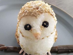 Gemas Banget! 10 Potret Onigiri 3D Berbentuk Hewan Gemas Banget! 10 Potret Onigiri 3D Berbentuk Hewan