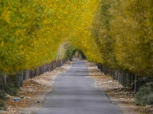 50 Destinasi Paling Hebat di Dunia 2023 Versi TIME, Adakah Indonesia?