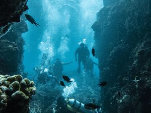 Laut RI Simpan Potensi Energi yang Bikin Melongo, Ini Datanya Laut RI Simpan Potensi Energi yang Bikin Melongo, Ini Datanya