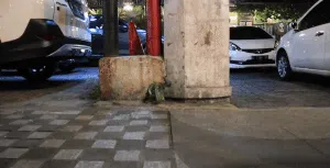 Jurit Malam: Mengenang Nike Ardilla dan Kisah di Jalan Riau Bandung Jurit Malam: Mengenang Nike Ardilla dan Kisah di Jalan Riau Bandung