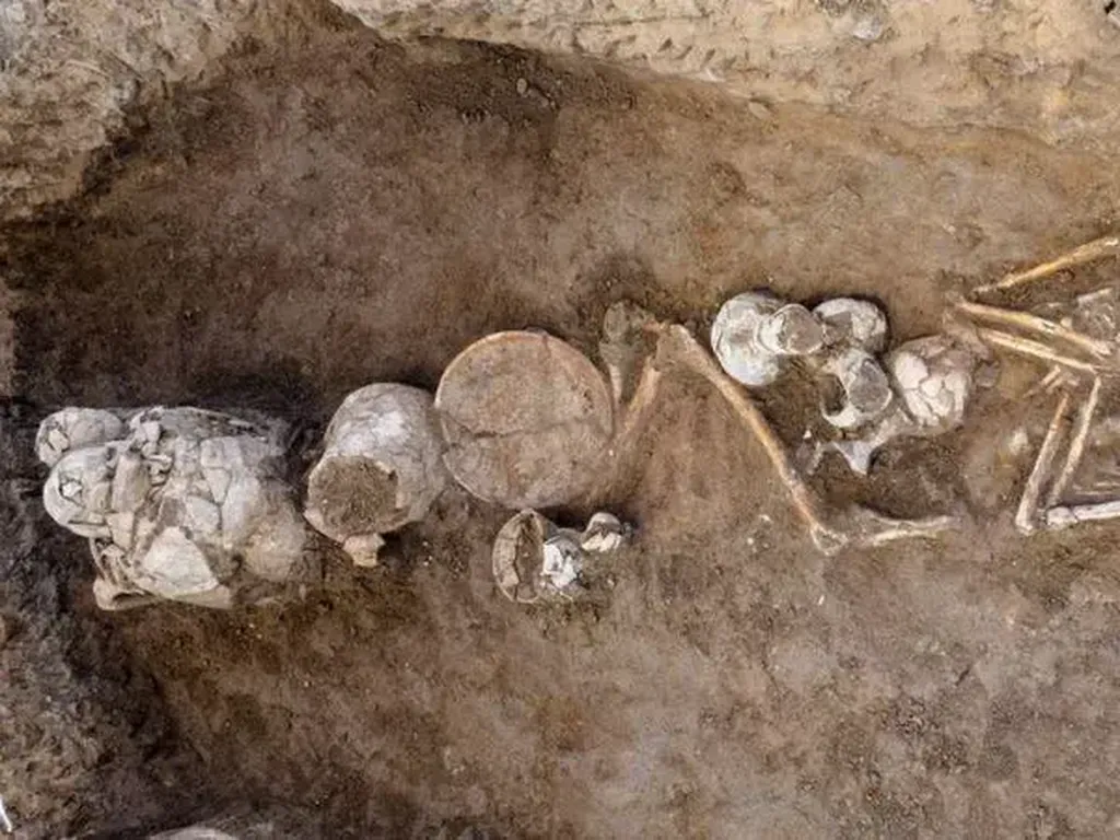 Bukti Tertua Penggunaan Opium Ditemukan di Kuburan Kuno Israel