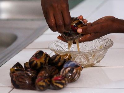 Wow! Di Negara Ini Harga Bekicot Lebih Mahal dari Daging Sapi