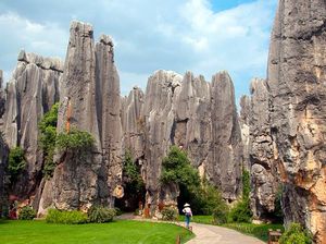 Eksotika Hutan Batu di Dataran China yang Memukau