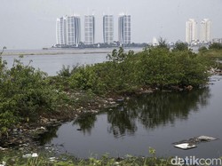Suara Hati Warga Muara Angke soal Anies Jadikan Pulau G Permukiman