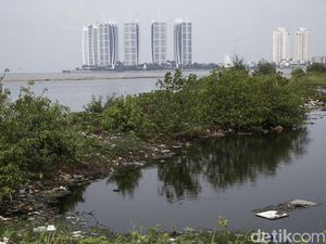 Suara Hati Warga Muara Angke soal Anies Jadikan Pulau G Permukiman Suara Hati Warga Muara Angke soal Anies Jadikan Pulau G Permukiman