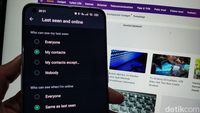 Cara Menyembunyikan Status Online Resmi dari WhatsApp