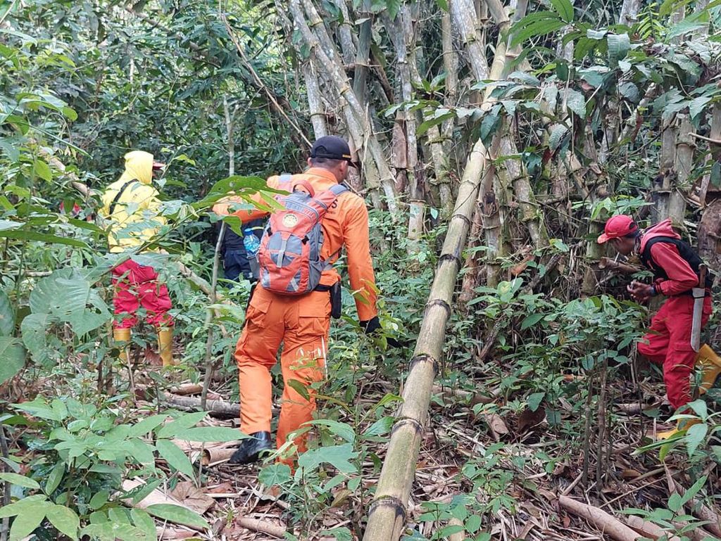 Lansia di Kukar 5 Hari Hilang di Hutan, Tim SAR Sisir Lokasi hingga 40 Km