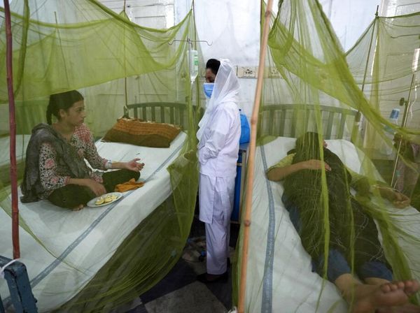 Setelah Dilanda Banjir, Warga Pakistan Kini Diserang Penyakit DBD