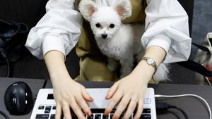Asik Banget, Karyawan di Jepang Boleh Bawa Anjing ke Kantor