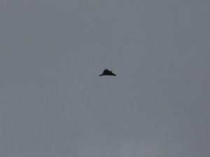 Iran Luncurkan Serangan ke Utara Irak