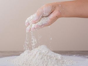 Apa Itu Tepung Aci? Bahan Utama Aneka Jajanan Sunda Apa Itu Tepung Aci? Bahan Utama Aneka Jajanan Sunda