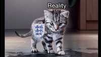 Jangan-jangan Inggris yang sekarang sudah bukan lagi berkarakter singa tapi sudah jadi meong. Foto: dok. Twitter