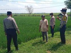 8 Petani di Ngawi Tewas Akibat Jebakan Tikus Beraliran Listrik Selama 2022