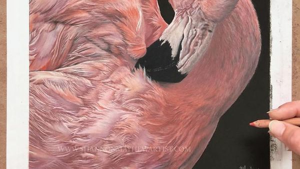 Keren banget! Cuma Pakai Pensil, Tapi Hasil Gambarnya Tampak Nyata