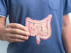 Sistem Pencernaan dan Fungsinya pada Manusia, Ayo Pelajari!