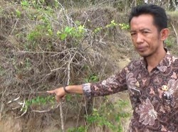 Makam di Takalar Rusak gegara Abrasi Pantai, Tulang Manusia Berserakan