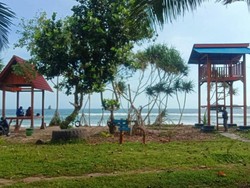 Dongkrak Pariwisata Usai Pendemi Mereda, 4 Pantai di Banyuwangi Bersolek