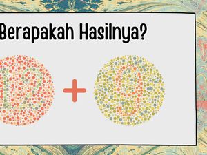 Tes Buta Warna Super Mudah! Harusnya dalam Hitungan Detik Sudah Kelar Tes Buta Warna Super Mudah! Harusnya dalam Hitungan Detik Sudah Kelar