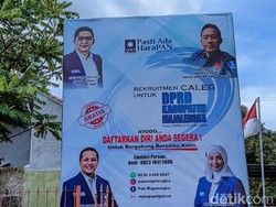 Pasha Ungu Dijagokan PAN di Pilkada Majalengka, Gimana Peluangnya?