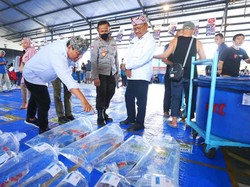 Ribuan Ikan Koi Ikut Kontes di Banyuwangi Young Koi Show