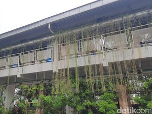 Tekan Emisi Karbon, Kementerian PUPR Dorong Pengembangan Perumahan Hijau