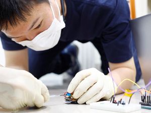 Wujud Robot Mini Kecoa yang Bisa Lakukan Penyelamatan Wujud Robot Mini Kecoa yang Bisa Lakukan Penyelamatan