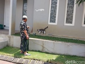 Relokasi Jadi Pilihan Saat Kucing di Kota Malang Mati Massal Diduga Diracun Relokasi Jadi Pilihan Saat Kucing di Kota Malang Mati Massal Diduga Diracun