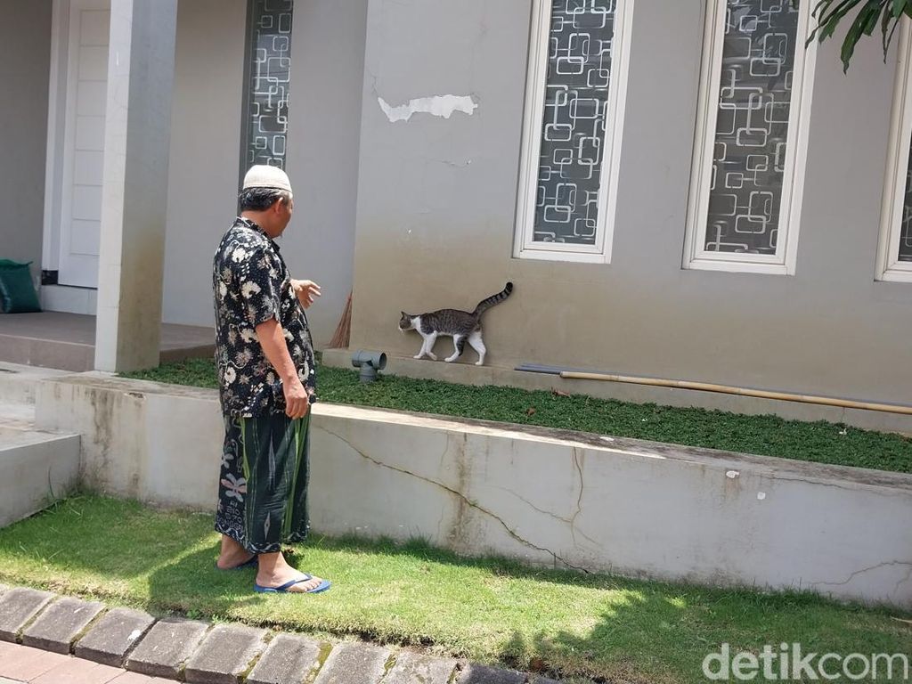Relokasi Jadi Pilihan Saat Kucing di Kota Malang Mati Massal Diduga Diracun