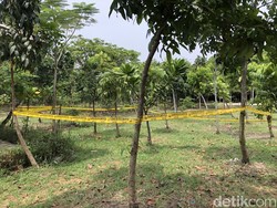 Dipasangi Garis Polisi, Ini Lokasi Pemerkosaan ABG di Hutan Kota Jakut