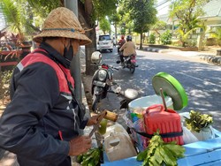 Segarnya Tuak Loloh Khas Buleleng yang Kaya Khasiat Sehat