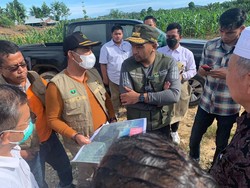 Wagub Sumbar Tinjau Pembangunan Akses Jalan Teluk Tapang, Ini Arahannya