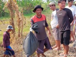 Hasil Autopsi Sementara Tengkorak Manusia Utuh di Subang