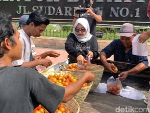 Protes Harga Anjlok, Petani Jember Bagikan Tomat Gratis ke Masyarakat Protes Harga Anjlok, Petani Jember Bagikan Tomat Gratis ke Masyarakat