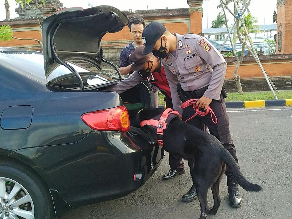 2 Anjing Pelacak Bantu Amankan Pintu Masuk Bali di Pelabuhan Gilimanuk