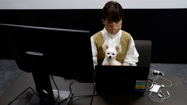 Potret Pekerja di Jepang Diizinkan Bawa Peliharaan ke Kantor, Gemas Banget